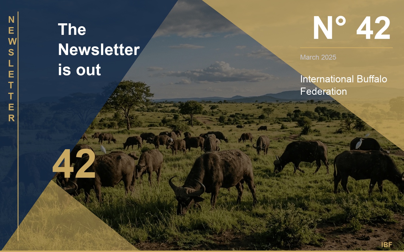 The Newsletter is out