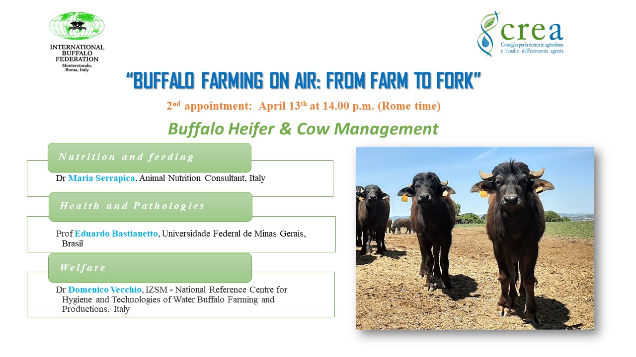 2nd IBF webinar Buffalo heifer & cow management recording online |  International Buffalo Federation